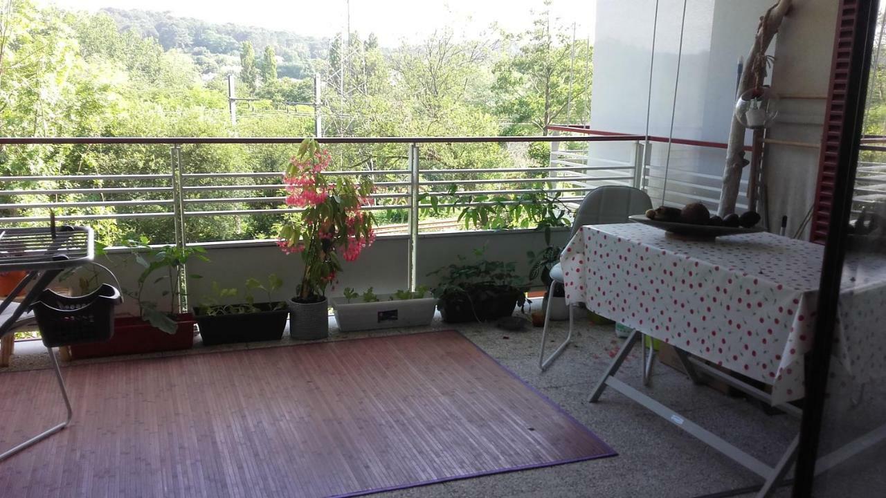 T2 Bis Avec Terrasse Vue Montagne Proche Mer, Commerces Et Biarritz Bidart Dış mekan fotoğraf